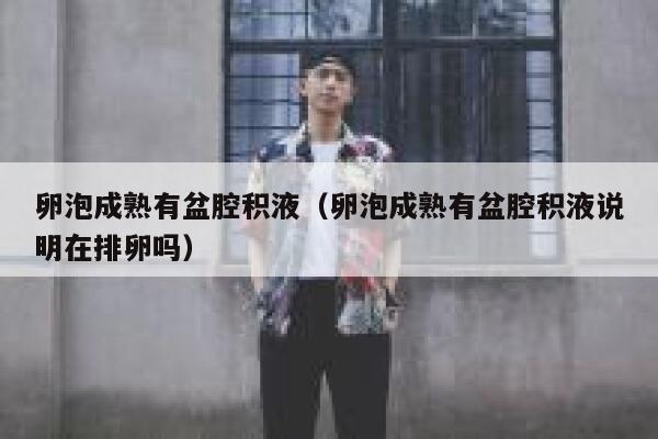 卵泡成熟有盆腔积液(卵泡成熟有盆腔积液说明在排卵吗) 第1张 卵泡成熟有盆腔积液(卵泡成熟有盆腔积液说明在排卵吗) 第1张