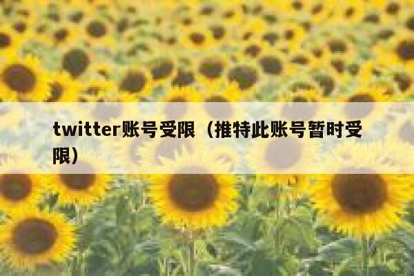 twitter账号受限（推特此账号暂时受限） 第1张