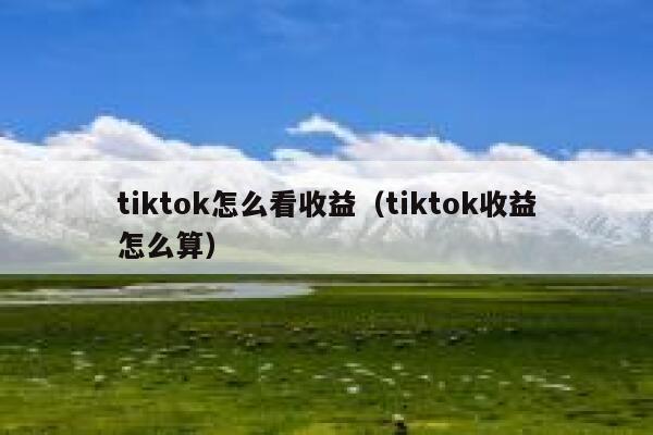 tiktok怎么看收益（tiktok收益怎么算） 第1张