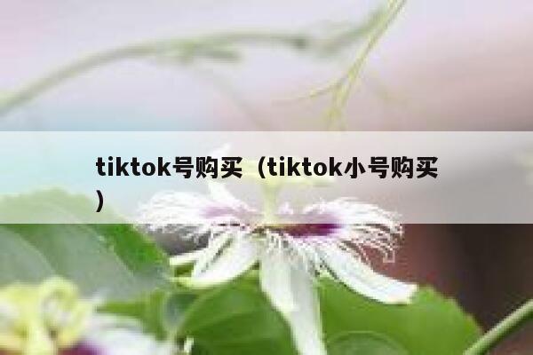 tiktok号购买(tiktok小号购买) 第1张 tiktok号购买(tiktok小号购买) 第1张