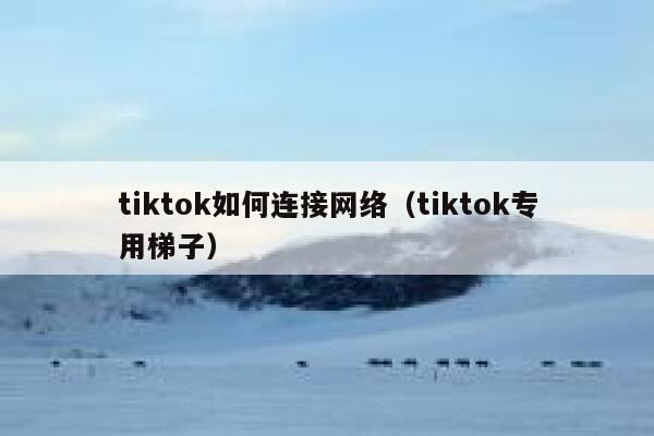 tiktok如何连接网络（tiktok专用梯子） 第1张
