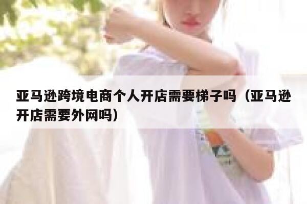 亚马逊跨境电商个人开店需要梯子吗（亚马逊开店需要外网吗） 第1张