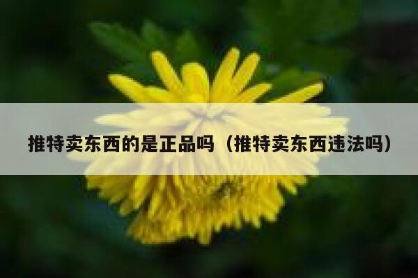 推特卖东西的是正品吗（推特卖东西违法吗） 第1张