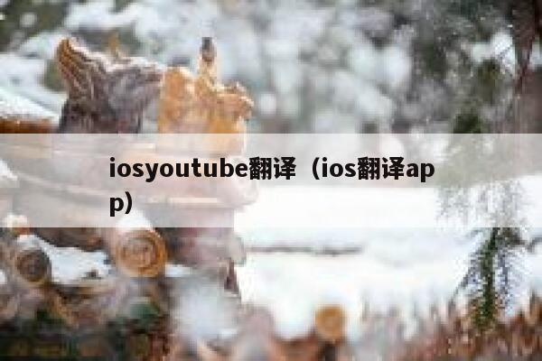 iosyoutube翻译(ios翻译app) 第1张 iosyoutube翻译(ios翻译app) 第1张
