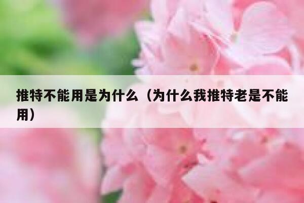 推特不能用是为什么（为什么我推特老是不能用） 第1张