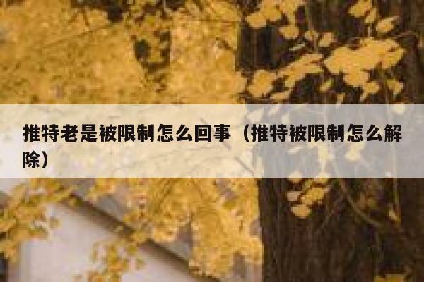 推特老是被限制怎么回事（推特被限制怎么解除） 第1张