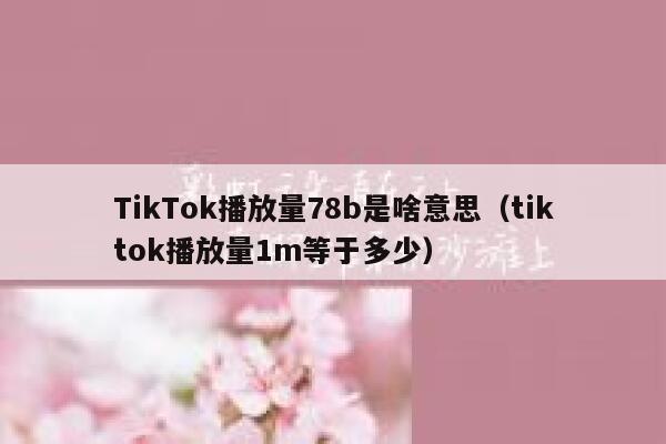 TikTok播放量78b是啥意思(tiktok播放量1m等于多少) 第1张 TikTok播放量78b是啥意思(tiktok播放量1m等于多少) 第1张