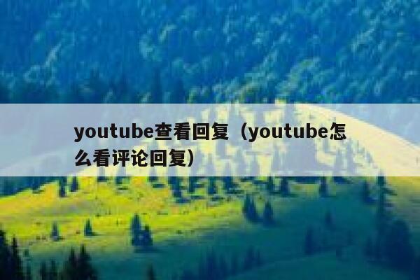 youtube查看回复(youtube怎么看评论回复) 第1张 youtube查看回复(youtube怎么看评论回复) 第1张