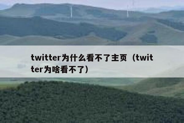twitter为什么看不了主页(twitter为啥看不了) 第1张 twitter为什么看不了主页(twitter为啥看不了) 第1张