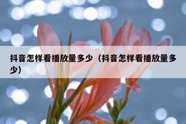 抖音怎样看播放量多少(抖音怎样看播放量多少) 第1张 抖音怎样看播放量多少(抖音怎样看播放量多少) 第1张