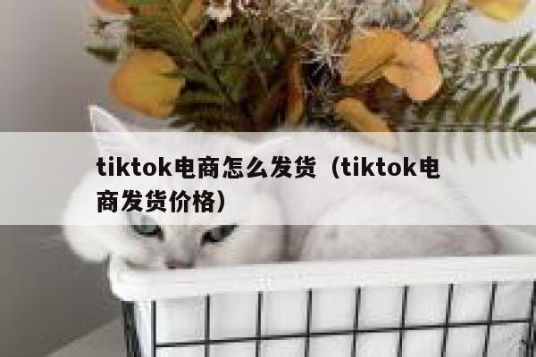 tiktok电商怎么发货（tiktok电商发货价格） 第1张