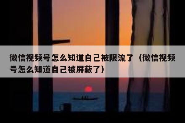 微信视频号怎么知道自己被限流了(微信视频号怎么知道自己被屏蔽了) 第1张 微信视频号怎么知道自己被限流了(微信视频号怎么知道自己被屏蔽了) 第1张