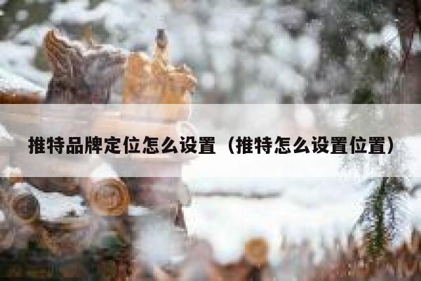推特品牌定位怎么设置(推特怎么设置位置) 第1张 推特品牌定位怎么设置(推特怎么设置位置) 第1张