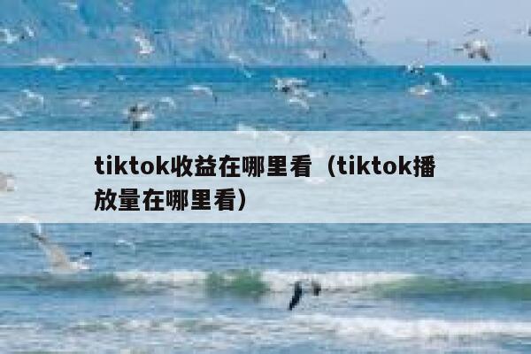 tiktok收益在哪里看（tiktok播放量在哪里看） 第1张