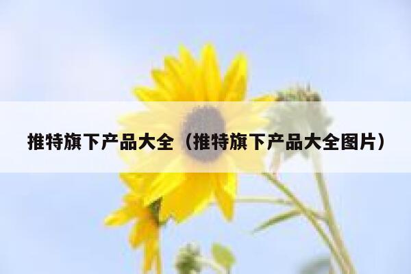 推特旗下产品大全(推特旗下产品大全图片) 第1张 推特旗下产品大全(推特旗下产品大全图片) 第1张