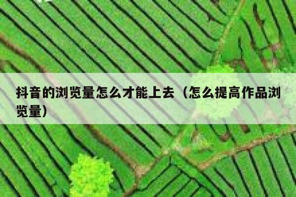 抖音的浏览量怎么才能上去（怎么提高作品浏览量） 第1张