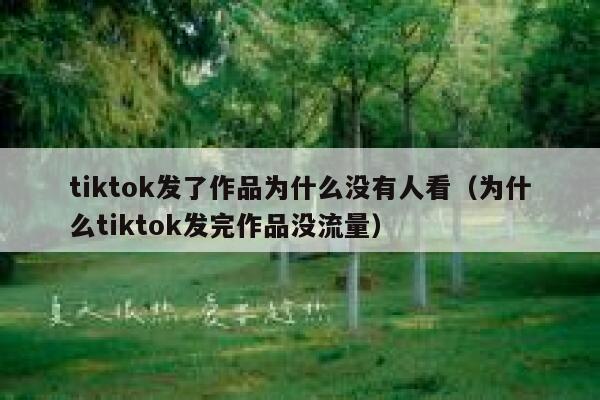 tiktok发了作品为什么没有人看(为什么tiktok发完作品没流量) 第1张 tiktok发了作品为什么没有人看(为什么tiktok发完作品没流量) 第1张