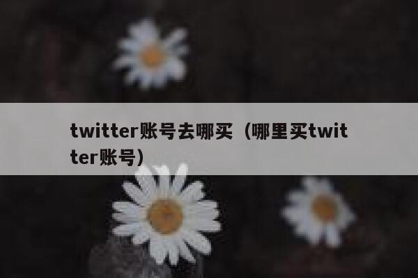 twitter账号去哪买（哪里买twitter账号） 第1张