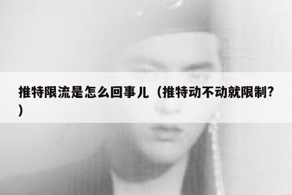 推特限流是怎么回事儿（推特动不动就限制?） 第1张