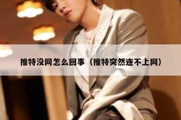 推特没网怎么回事（推特突然连不上网） 第1张