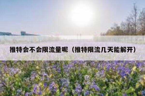 推特会不会限流量呢（推特限流几天能解开） 第1张