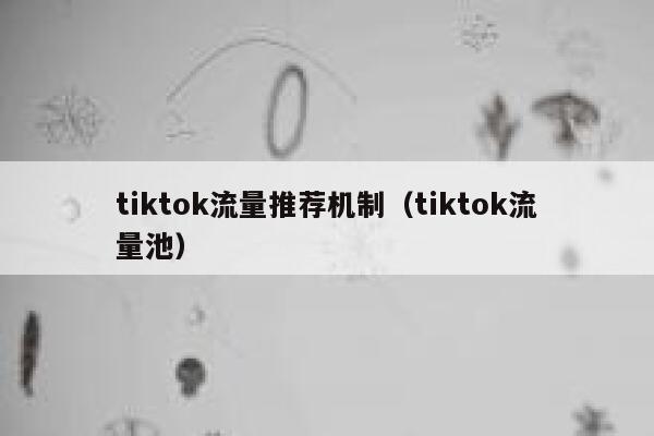 tiktok流量推荐机制（tiktok流量池） 第1张