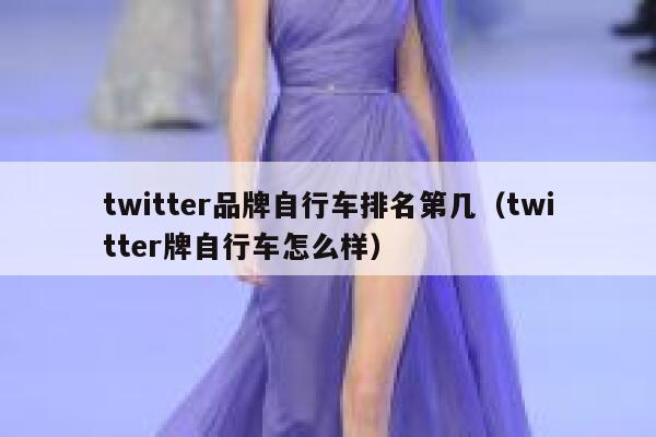 twitter品牌自行车排名第几(twitter牌自行车怎么样) 第1张 twitter品牌自行车排名第几(twitter牌自行车怎么样) 第1张