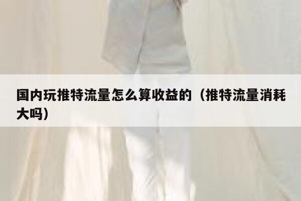 国内玩推特流量怎么算收益的（推特流量消耗大吗） 第1张