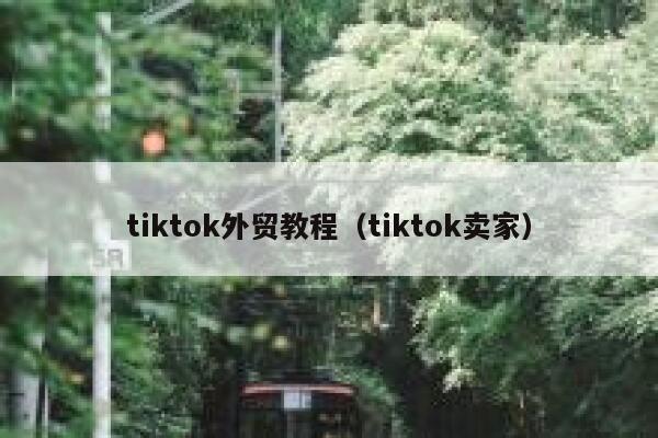 tiktok外贸教程(tiktok卖家) 第1张 tiktok外贸教程(tiktok卖家) 第1张