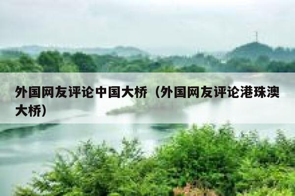 外国网友评论中国大桥（外国网友评论港珠澳大桥） 第1张