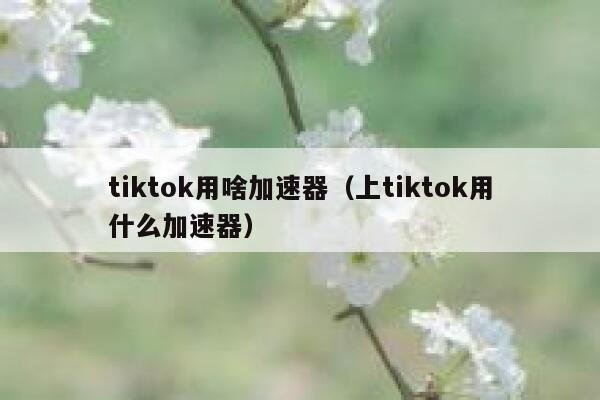 tiktok用啥加速器（上tiktok用什么加速器） 第1张