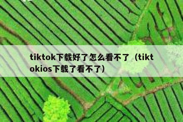 tiktok下载好了怎么看不了（tiktokios下载了看不了） 第1张
