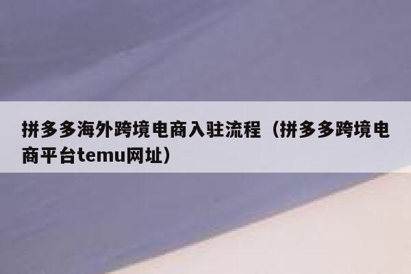 拼多多海外跨境电商入驻流程（拼多多跨境电商平台temu网址） 第1张