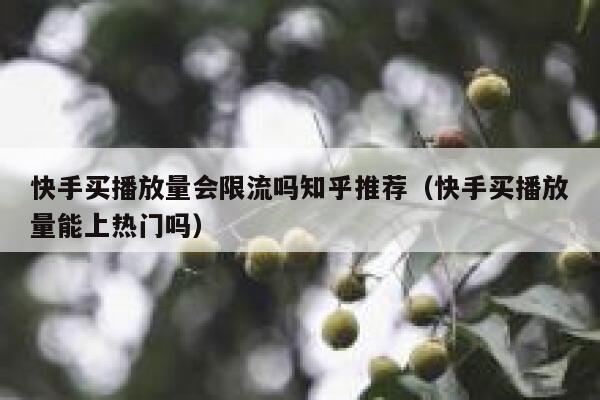 快手买播放量会限流吗知乎推荐(快手买播放量能上热门吗) 第1张 快手买播放量会限流吗知乎推荐(快手买播放量能上热门吗) 第1张