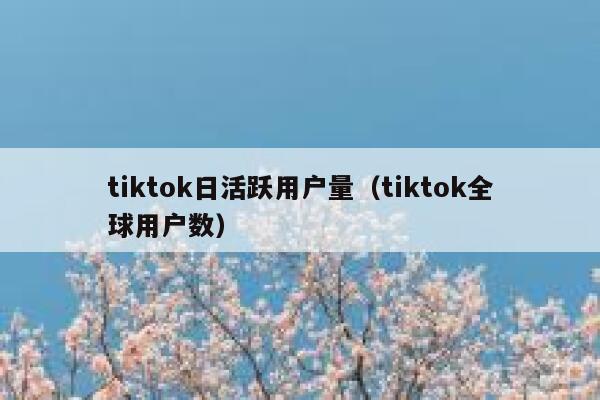 tiktok日活跃用户量（tiktok全球用户数） 第1张