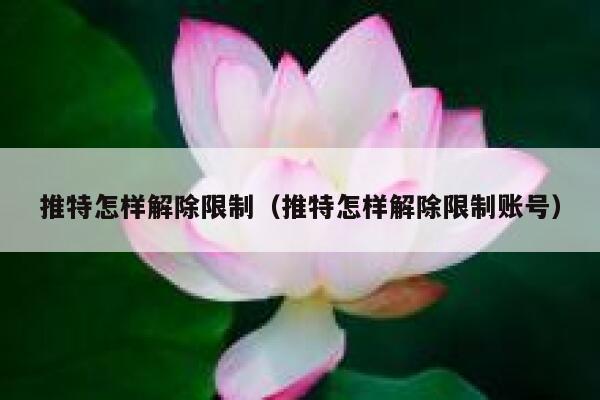 推特怎样解除限制（推特怎样解除限制账号） 第1张