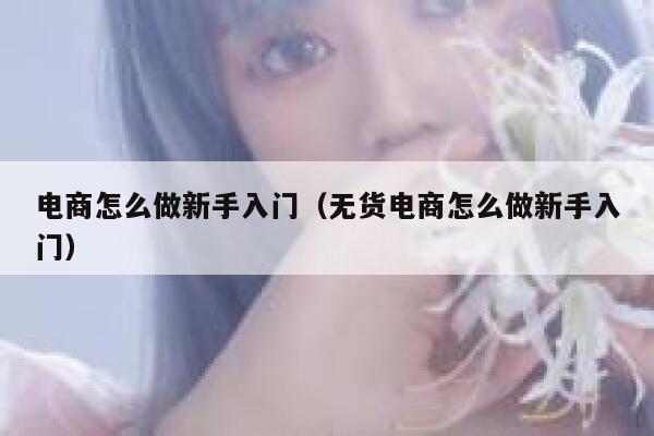 电商怎么做新手入门（无货电商怎么做新手入门） 第1张