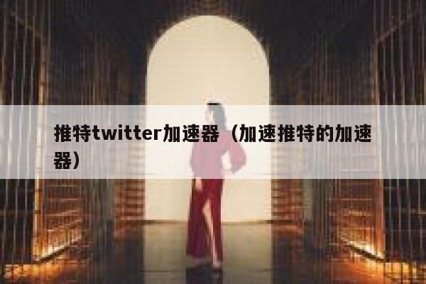 推特twitter加速器（加速推特的加速器） 第1张