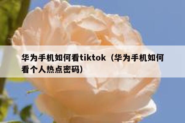 华为手机如何看tiktok（华为手机如何看个人热点密码） 第1张