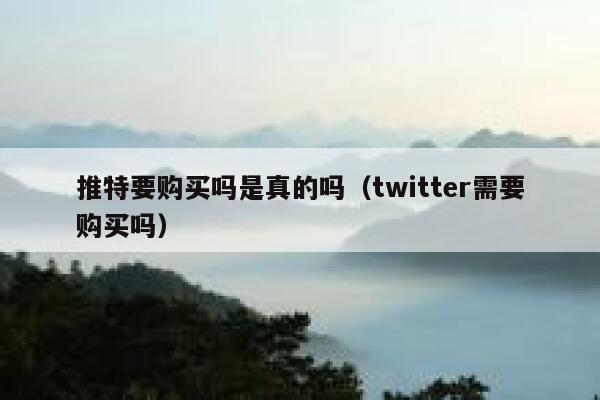 推特要购买吗是真的吗（twitter需要购买吗） 第1张