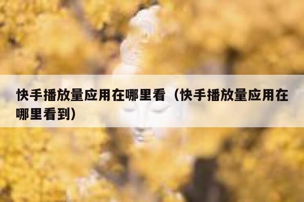 快手播放量应用在哪里看（快手播放量应用在哪里看到） 第1张