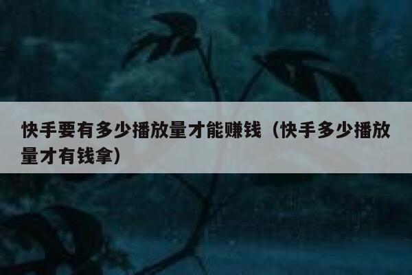 快手要有多少播放量才能赚钱（快手多少播放量才有钱拿） 第1张