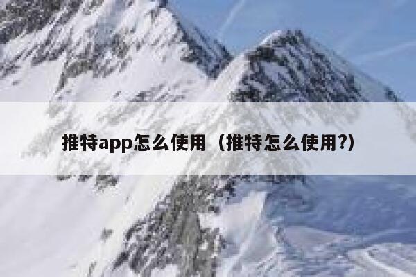 推特app怎么使用（推特怎么使用?） 第1张