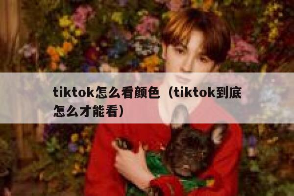 tiktok怎么看颜色（tiktok到底怎么才能看） 第1张