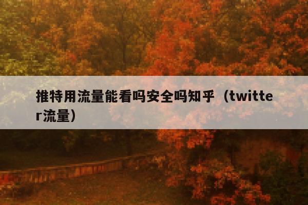 推特用流量能看吗安全吗知乎（twitter流量） 第1张