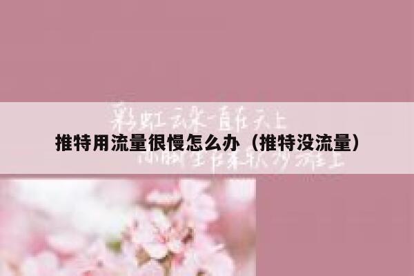 推特用流量很慢怎么办（推特没流量） 第1张