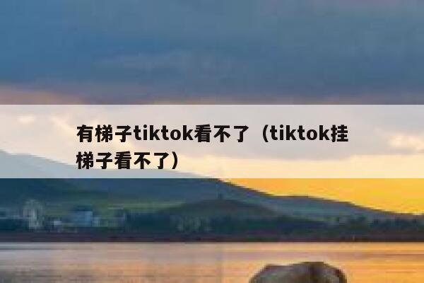 有梯子tiktok看不了（tiktok挂梯子看不了） 第1张