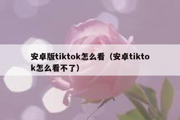 安卓版tiktok怎么看（安卓tiktok怎么看不了） 第1张