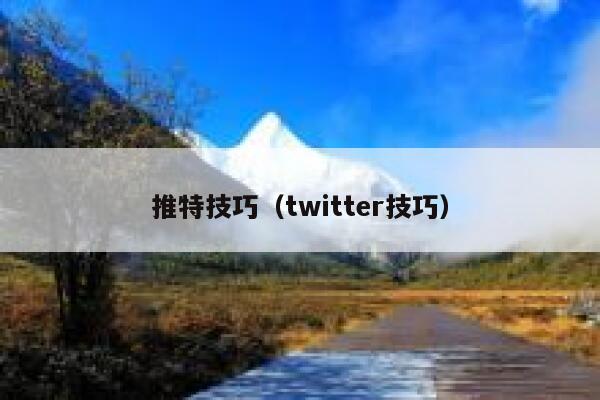 推特技巧（twitter技巧） 第1张