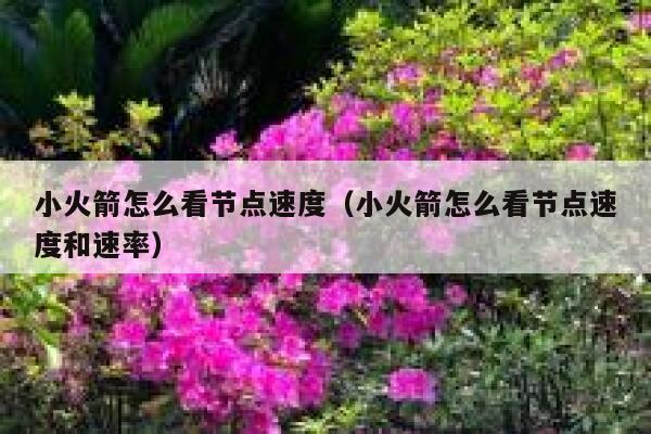 小火箭怎么看节点速度（小火箭怎么看节点速度和速率） 第1张